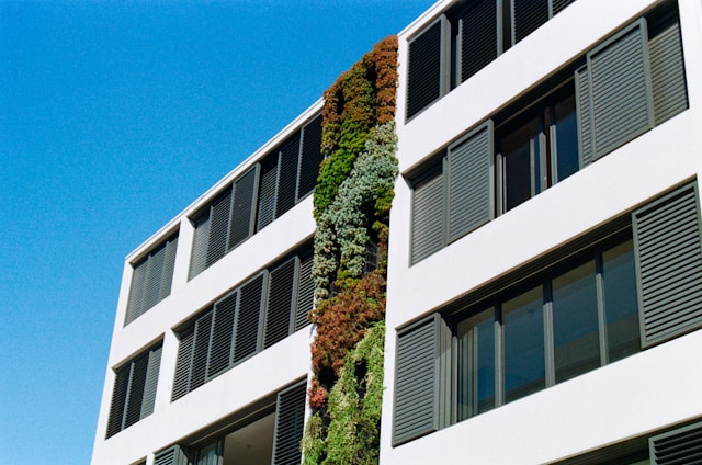 Decorative Window Films
